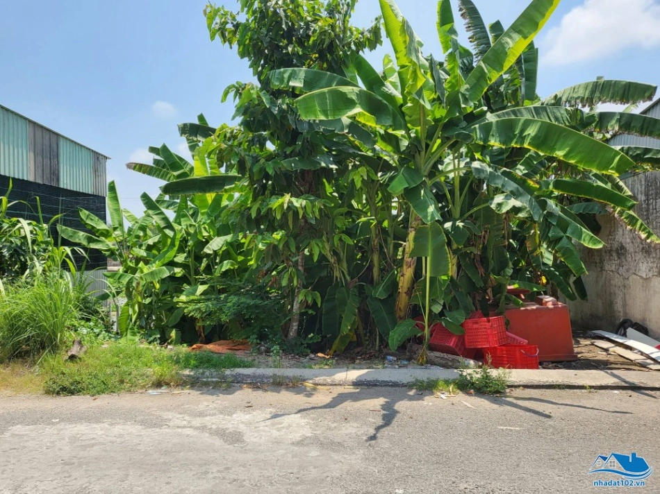 Bán đất mặt tiền đường Trương Định, đoạn thông với đường Trần Quý Cáp - Sư Vạn Hạnh Địa chỉ: phường An Bình cũ - phường Rạch Giá, An Giang