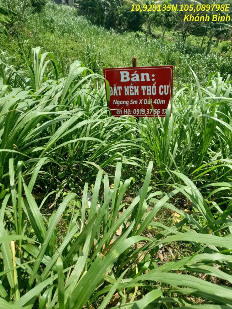 BÁN ĐẤT XÃ KHÁNH BÌNH